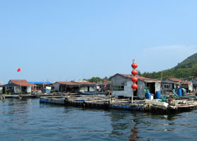 Sanya Hainan Authentic Fishing Village Tour with Seafood Lunch & Beach time
