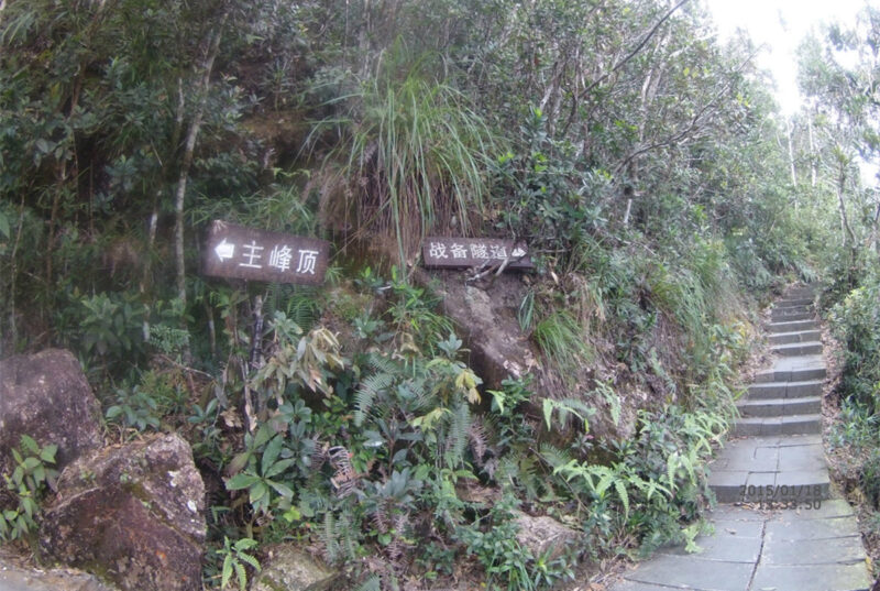 Jianfengling National Park Hiking Ledong Hainan8